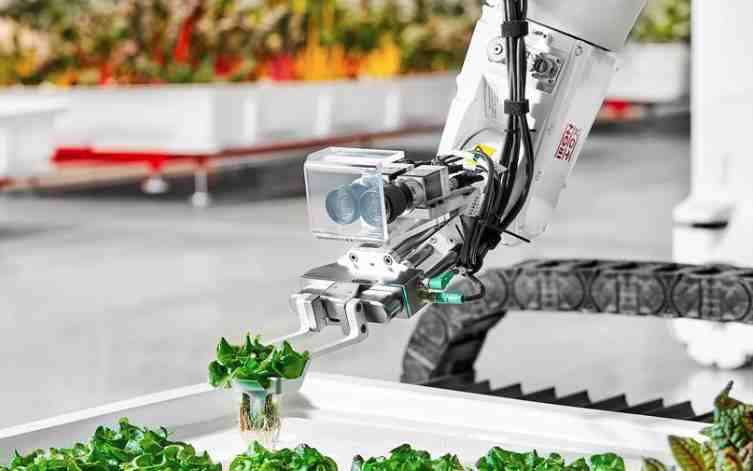 Agricultura 100 % robótica para resolver los dos grandes retos del sector