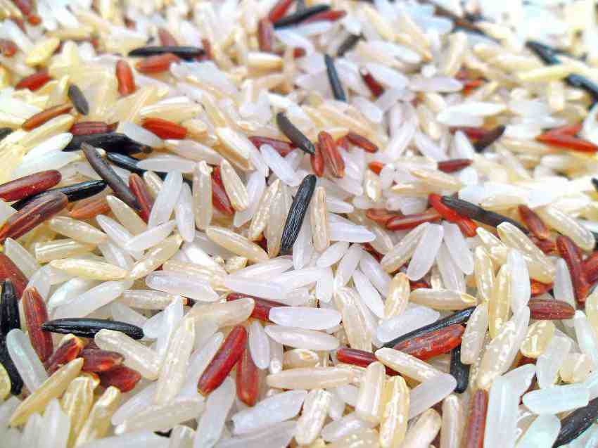 La pérdida de una molécula de microARN aumenta la producción de arroz