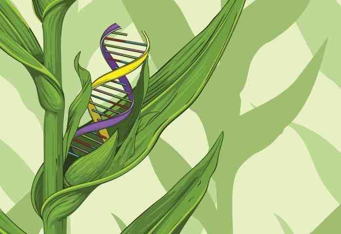 Edicion Genetica Con Crispr Una Nueva Caja De Herramientas Para