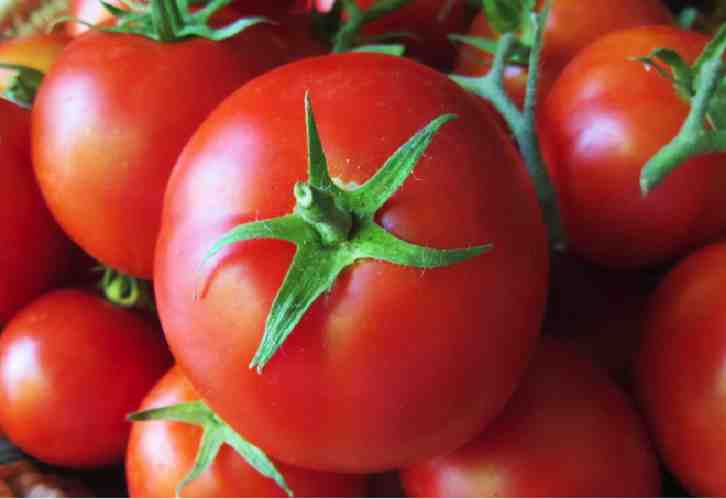 ¿Por qué los tomates lindos son desabridos?