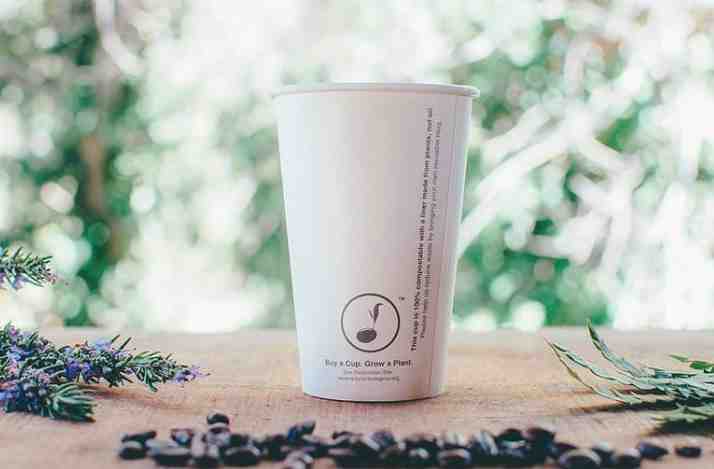 Crean primera taza de café del mundo que se planta y repone la flora local