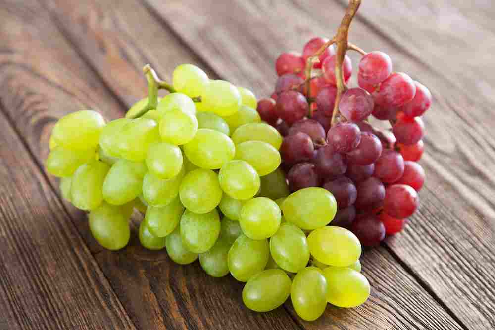 Chile avanza en el desarrollo de nuevas variedades de uva de mesa