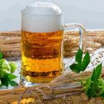 Una levadura modificada genéticamente produce aromas más intensos de lúpulo en la cerveza