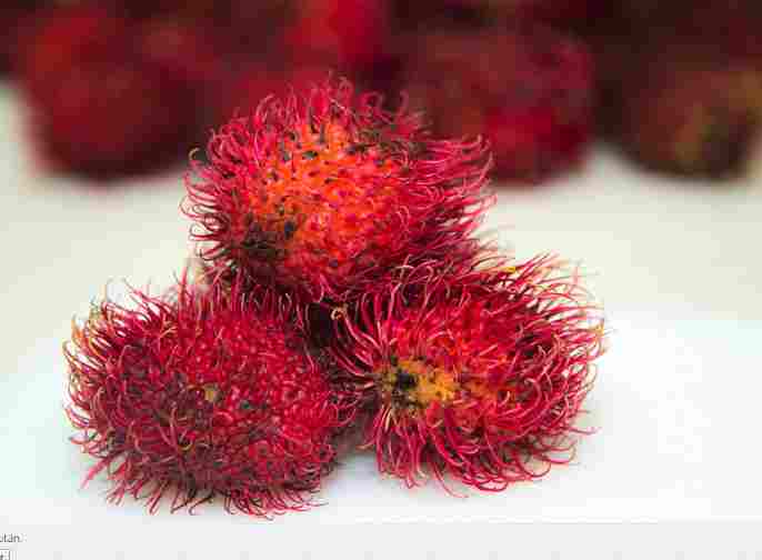 Lanzan al mercado un producto antioxidante a base de cáscara de rambután