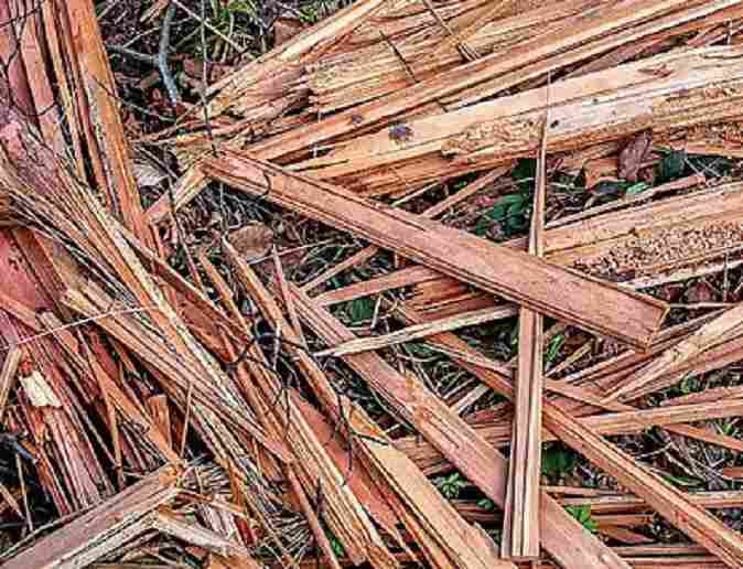 Biomasa de madera, fuente de energía alternativa
