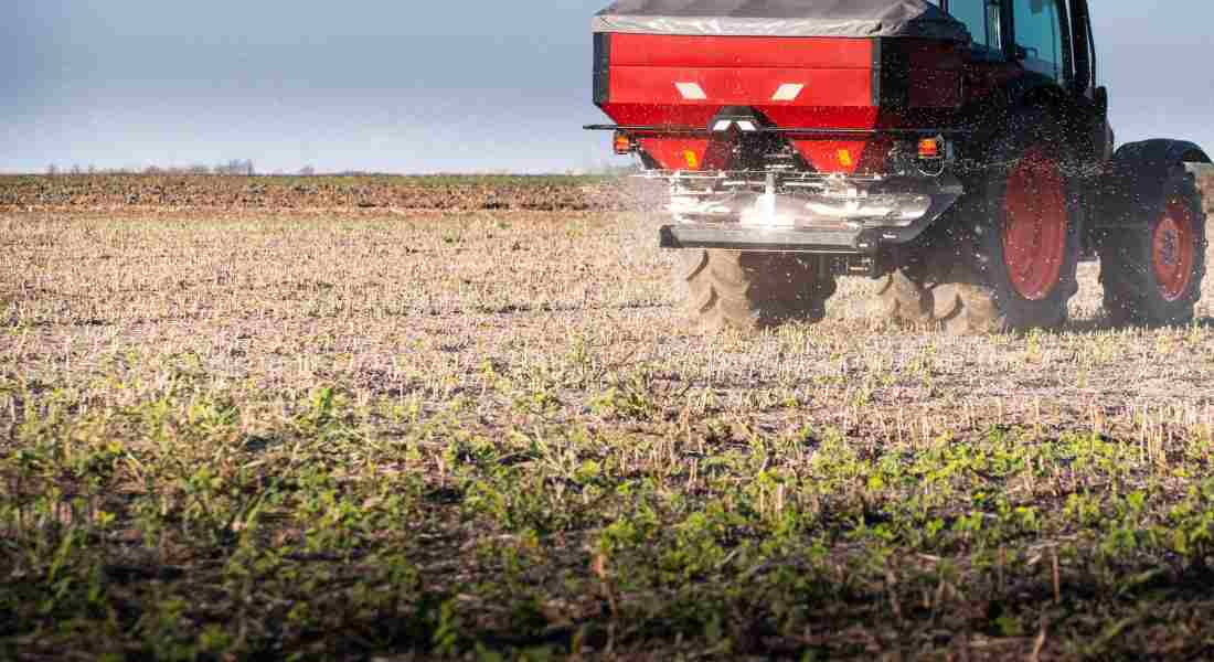 La edición genética podría reducir la contaminación de fertilizantes fosforados