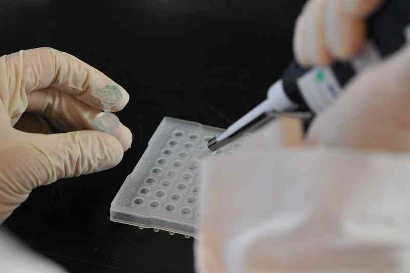 Utilizan nanobiotecnología para el desarrollo de vacunas
