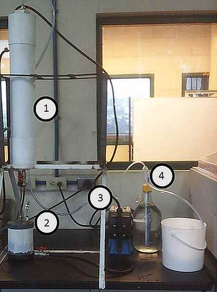 Biodigestor produciría gas metano con material de poda