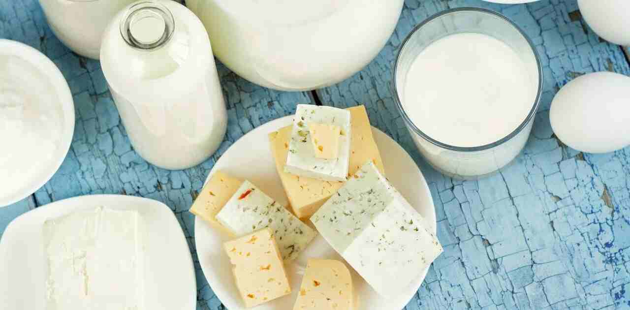 Desarrollan queso “sin vacas”: organismos biotecnológicos producen proteínas y grasa láctea