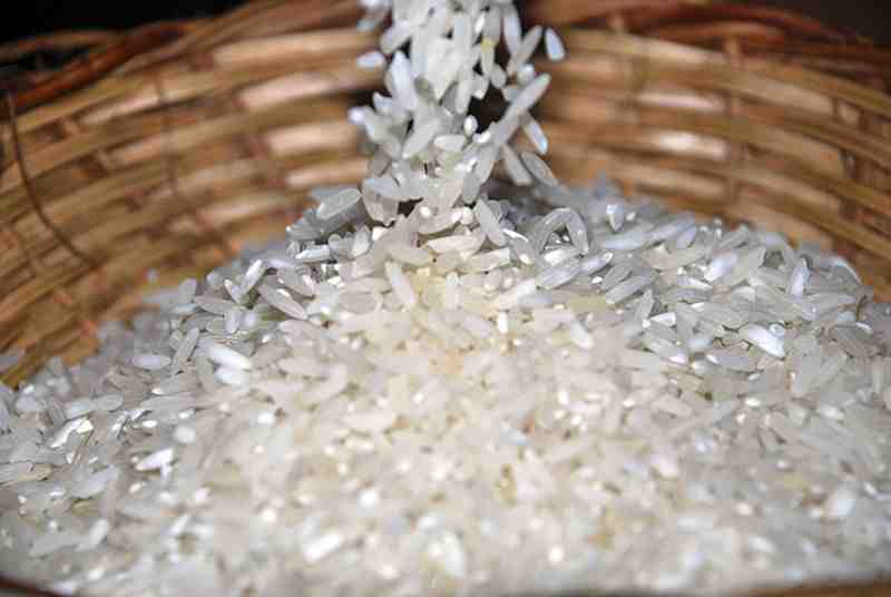 Cascarilla de arroz generaría energía renovable