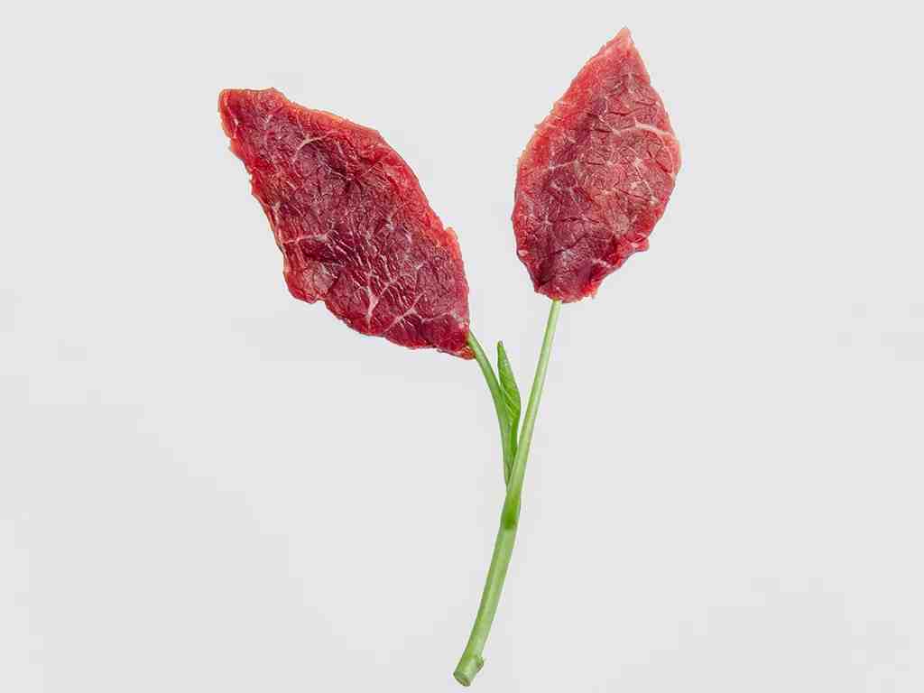 “Carne dorada”: La carne de laboratorio puede mejorarse genéticamente para producir nutrientes vegetales