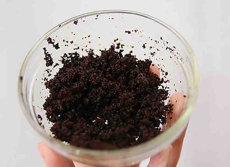 Residuos de café serían materia prima para obtener biodiésel