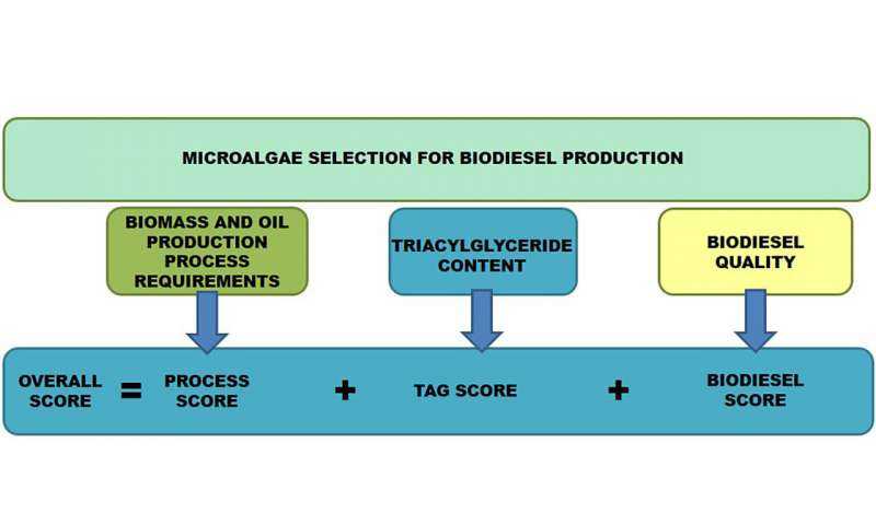 Selección de las mejores microalgas para la producción de biodiésel
