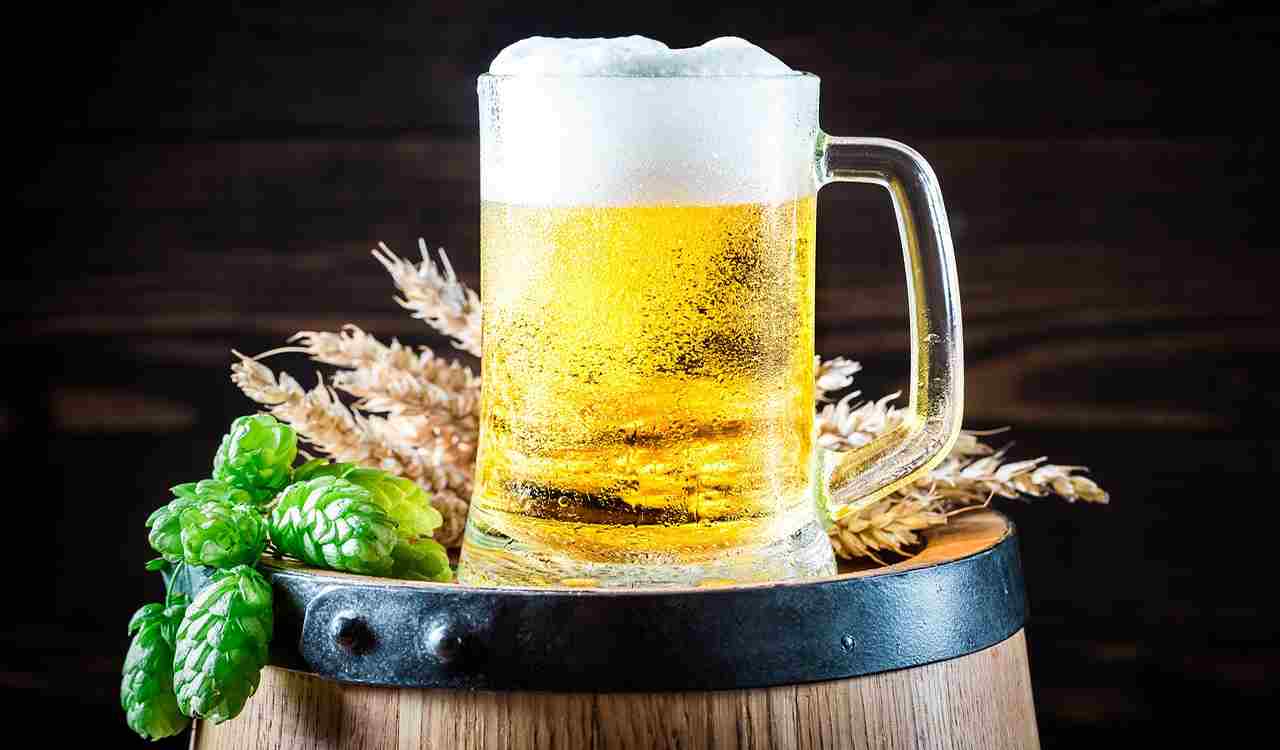 ¿Cerveza con ingredientes contra el cáncer y enfermedades? Científicos checos utilizan edición genética para hacerlo realidad