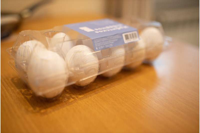Los científicos desarrollan una tecnología segura y barata para la desinfección de huevos envasados
