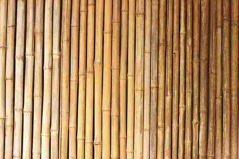Bambú sería apto para láminas de construcción