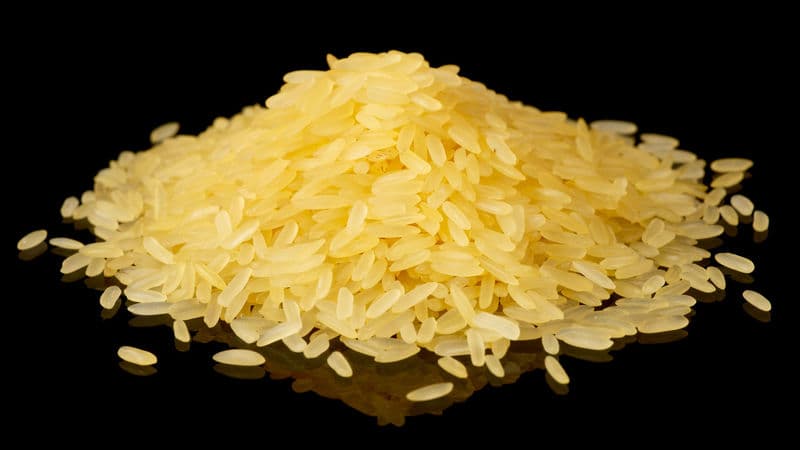 El arroz transgénico dorado (alto en pro-vitamina A) tendrá un precio muy competitivo para los agricultores filipinos