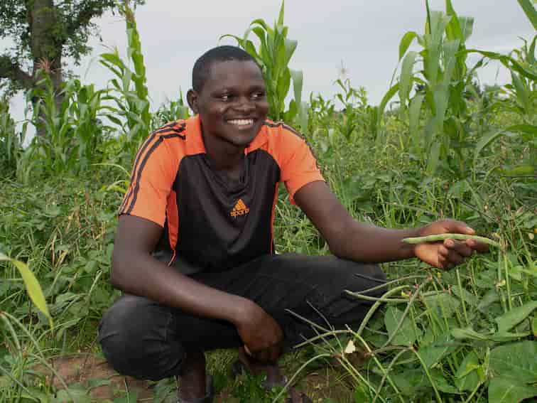 Opinión: los agricultores africanos pueden beneficiarse de la coexistencia de la agroecología y la biotecnología