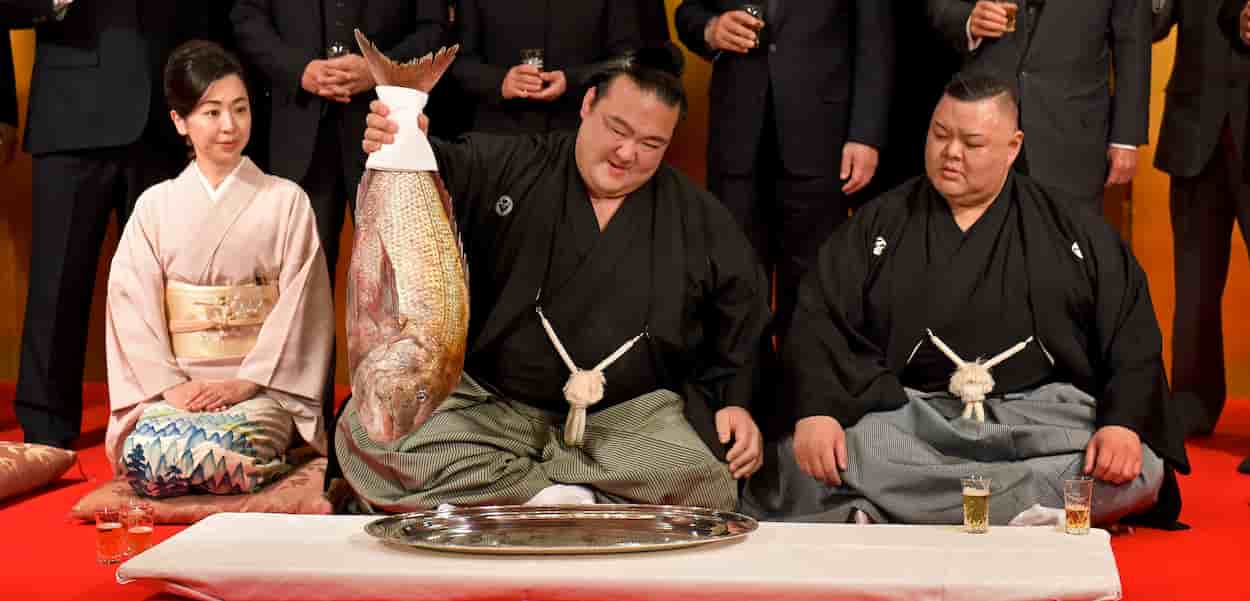 Japón está listo para comercializar un pez editado genéticamente con mayor volumen de carne