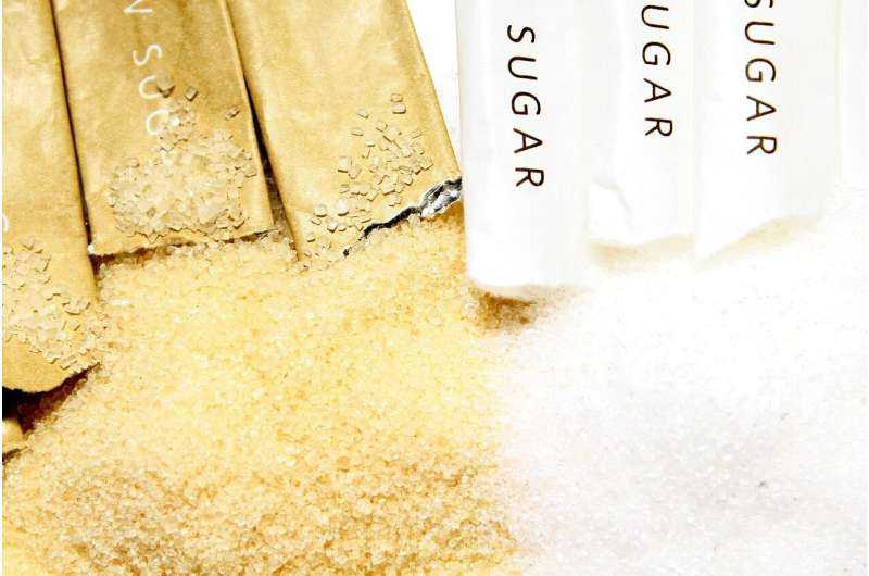 La investigación sobre plásticos a base de azúcar muestra la forma de lo que vendrá