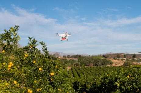 Cómo la tecnología de drones está ayudando a los productores australianos a optimizar el rendimiento de los cultivos