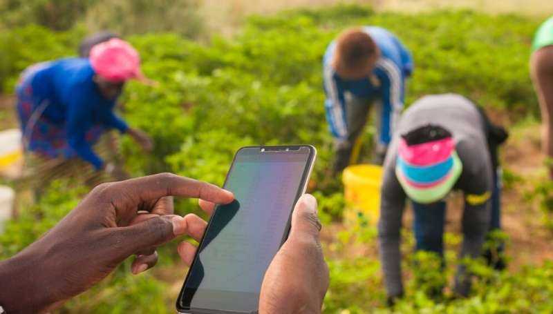 La tecnología Web3 ‘pone a los agricultores a cargo de sus datos’