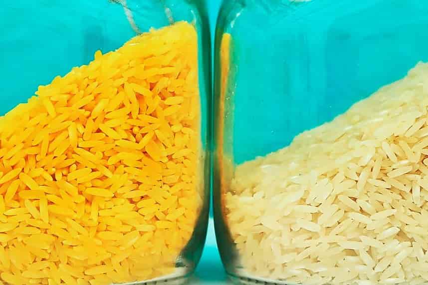 Expertos internacionales muestran su apoyo al arroz dorado para salvar vidas