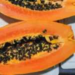 En cáscara de papaya buscan antioxidantes con potencial para la industria alimenticia